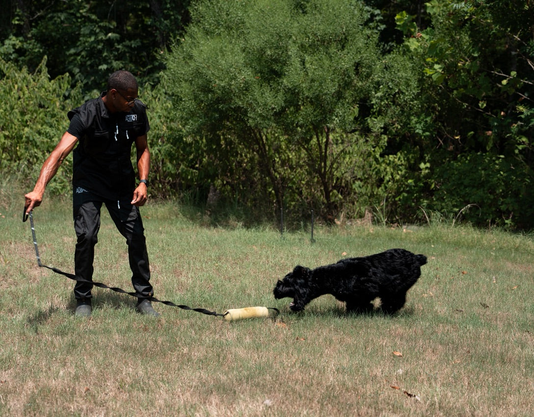 Agitach Flirt Pole: Ignite Your Dog’s Instincts